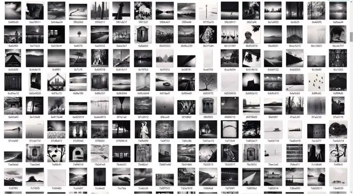 2500幅黑白摄影素材合集-国外黑白摄影大师作品合集灵感风景参考素材图库【电商热销512】