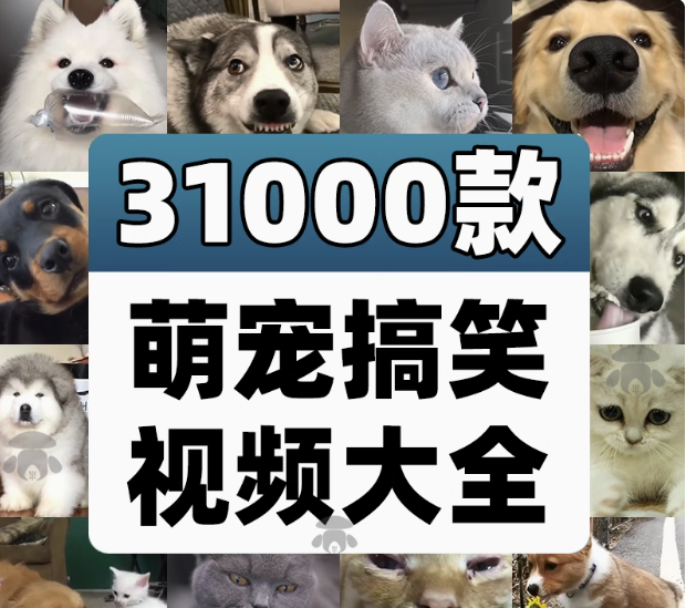 萌宠素材动物猫咪宠物搞笑抖音短视频直播高清无水印剪辑起号用素材【电商热销561】