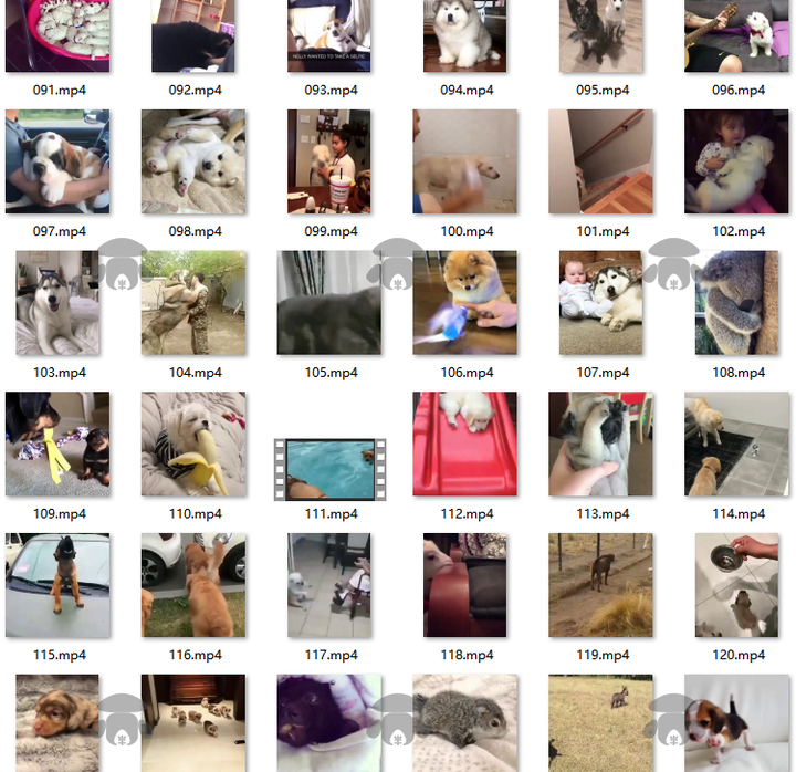 萌宠素材动物猫咪宠物搞笑抖音短视频直播高清无水印剪辑起号用素材【电商热销561】