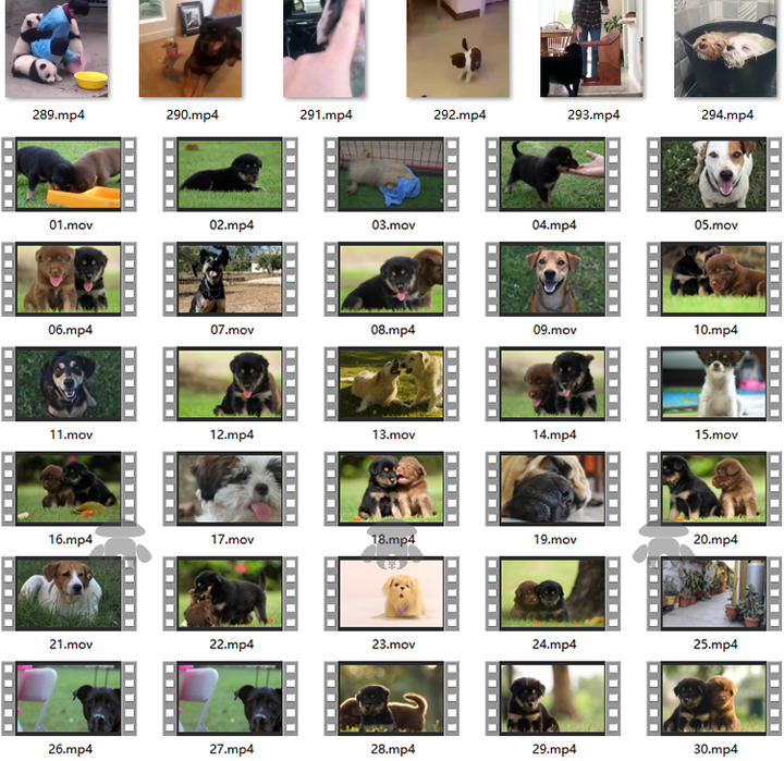 萌宠素材动物猫咪宠物搞笑抖音短视频直播高清无水印剪辑起号用素材【电商热销561】