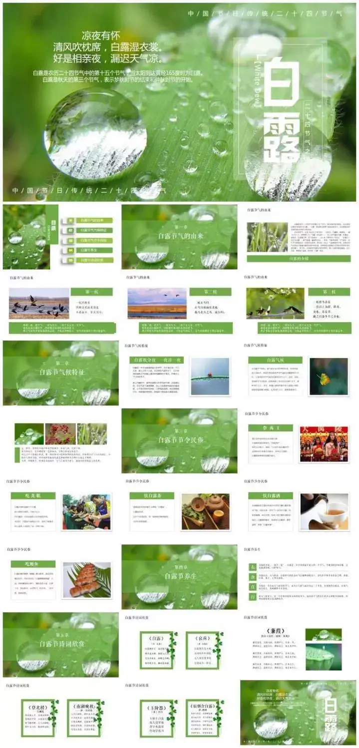64套二十四节气介绍PPT成品模板- 中小学幼儿园班会冬至立冬小雪介绍【电商热销744】