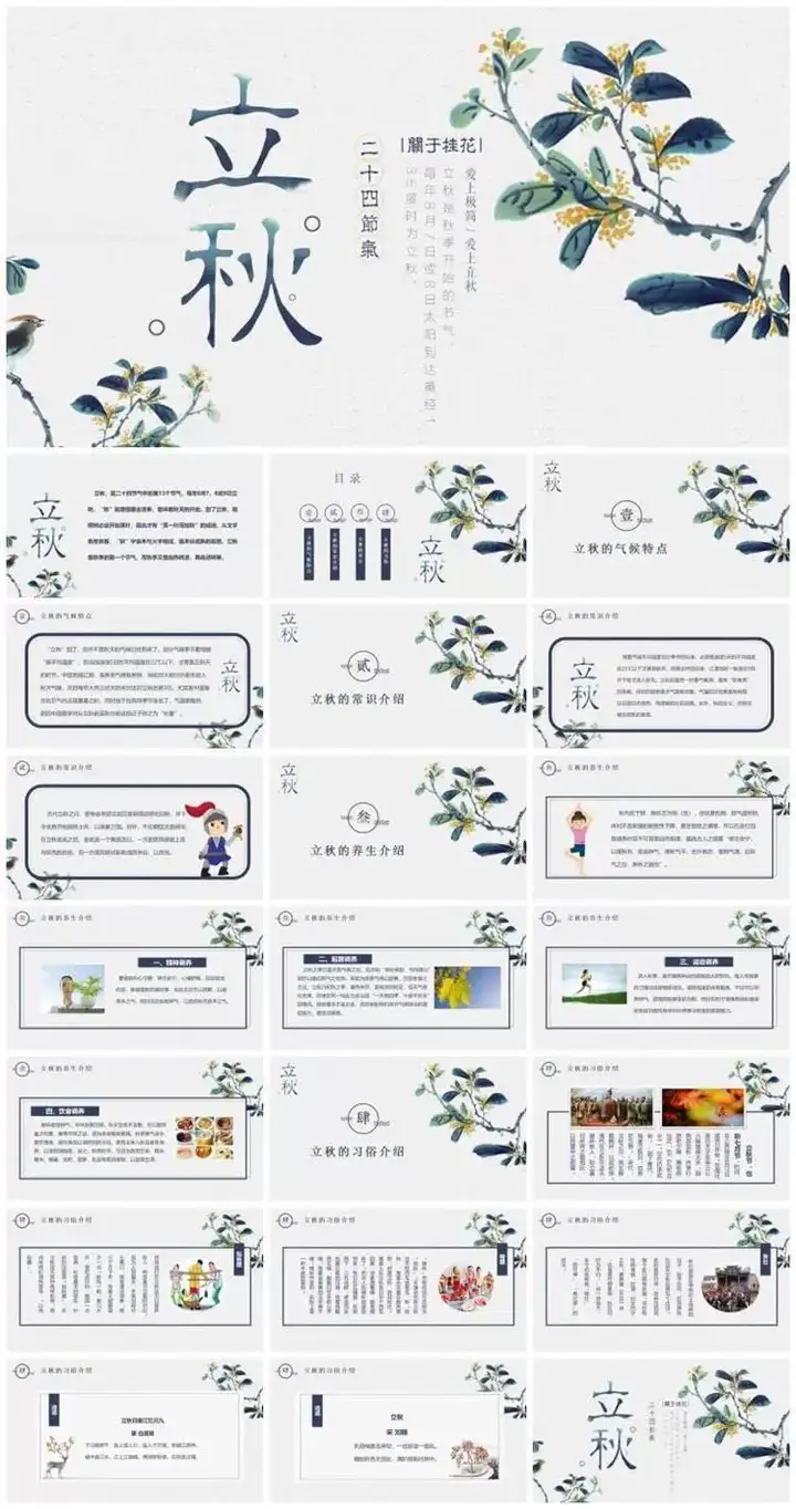 64套二十四节气介绍PPT成品模板- 中小学幼儿园班会冬至立冬小雪介绍【电商热销744】