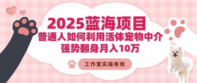 最新冷门蓝海项目：利用活体宠物中介强势翻身月入10万25玩法