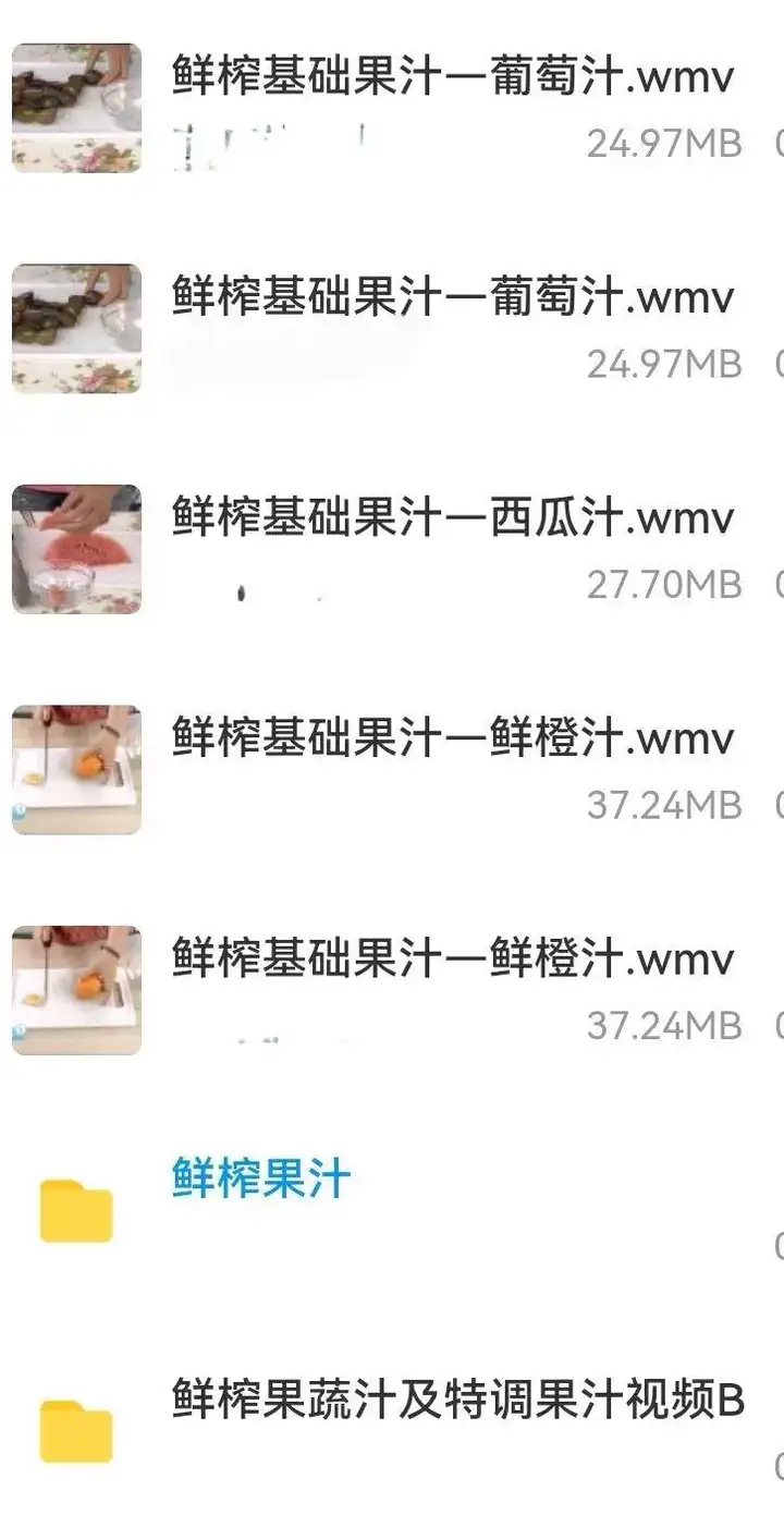 奶茶热饮配方资料教程大全-奶茶冷热饮品鲜榨果汁果蔬汁气泡水甜品贡茶制作商用技术配方教程【电商热销669】