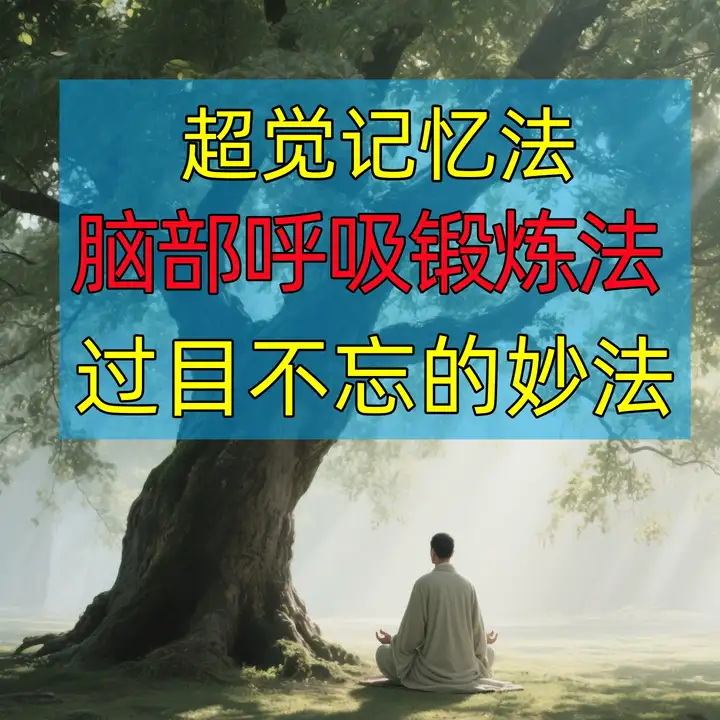 超觉记忆法-过目不忘修炼记忆力脑部呼吸锻炼法改造大脑健身气功养生训练方法【电商热销741】