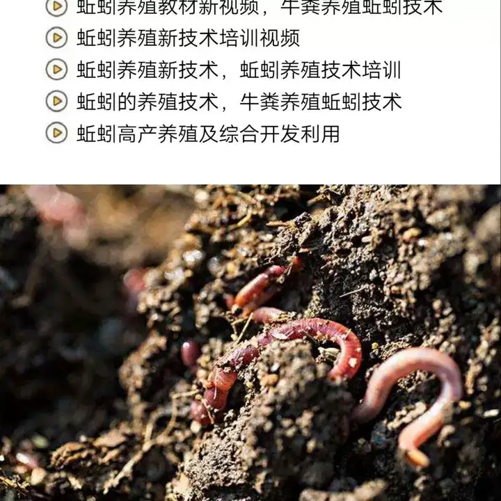 蚯蚓养殖技术视频教程素材零基础农业创业大棚如何养蚯蚓高效素材【电商热销569】
