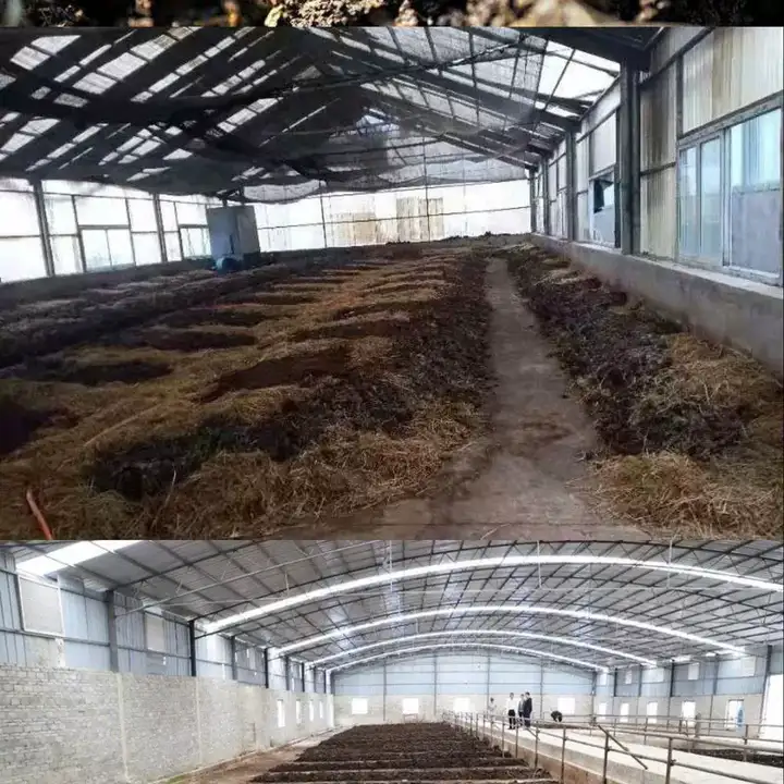 蚯蚓养殖技术视频教程素材零基础农业创业大棚如何养蚯蚓高效素材【电商热销569】