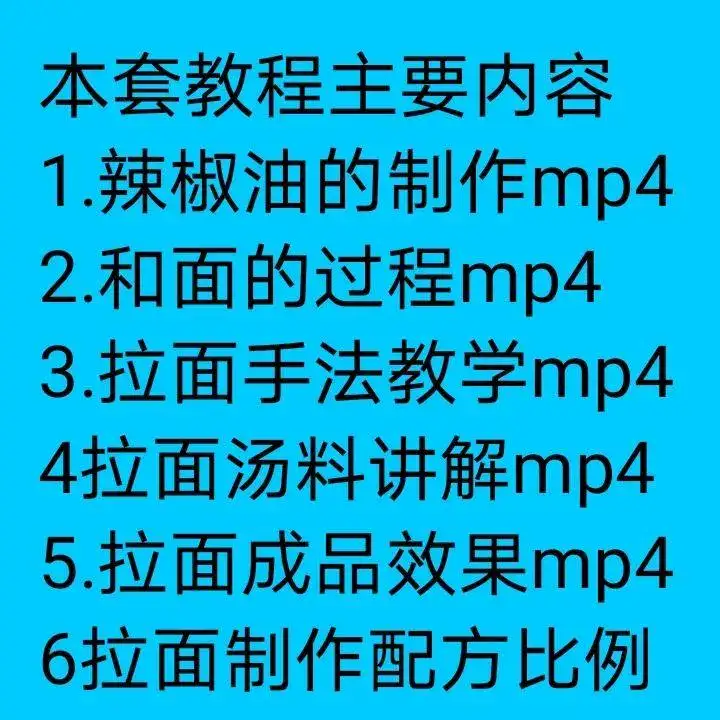 正宗兰州拉面商用技术资料教程-拉面手艺技术配方商用教程牛肉面汤料制作【电商热销592】