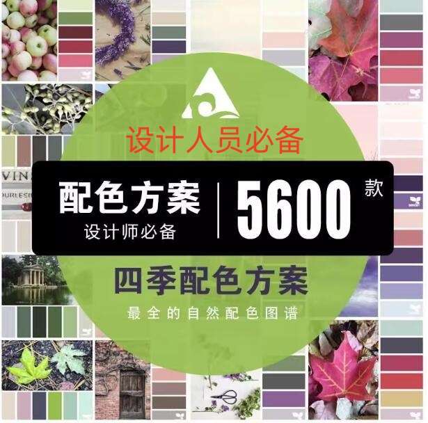 5600款设计排版配色方案【附教程】-PS设计颜色搭配色卡实物色彩搭配【电商热销841】