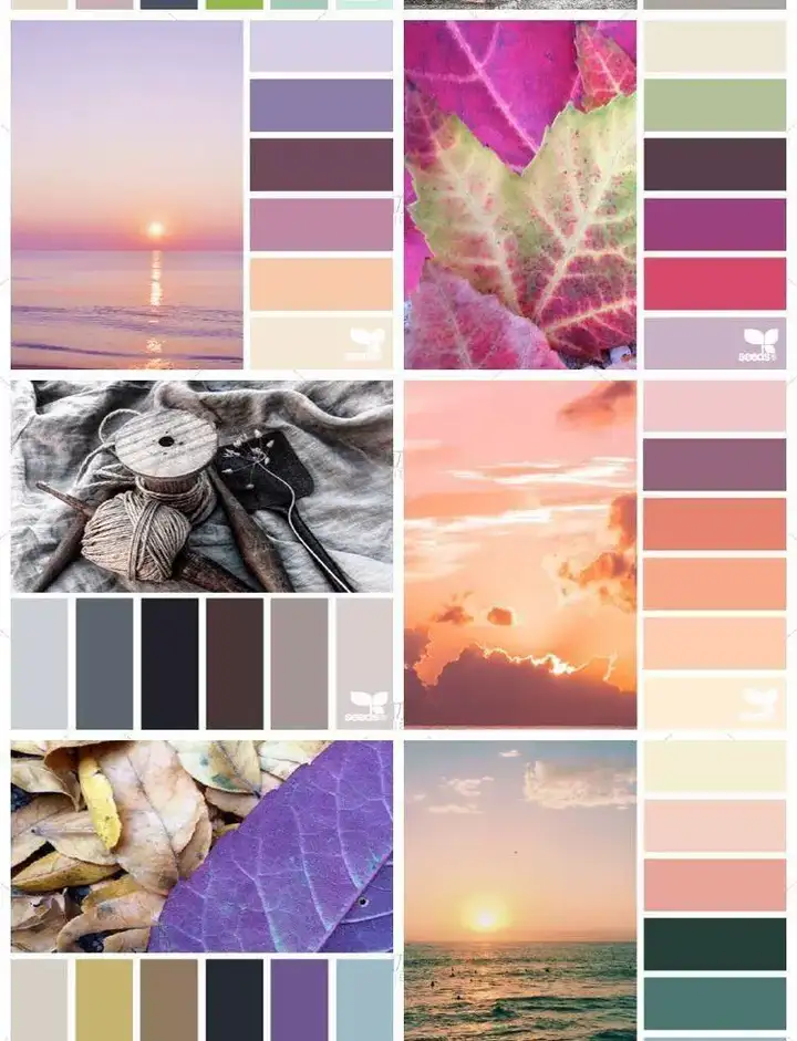 5600款设计排版配色方案【附教程】-PS设计颜色搭配色卡实物色彩搭配【电商热销841】