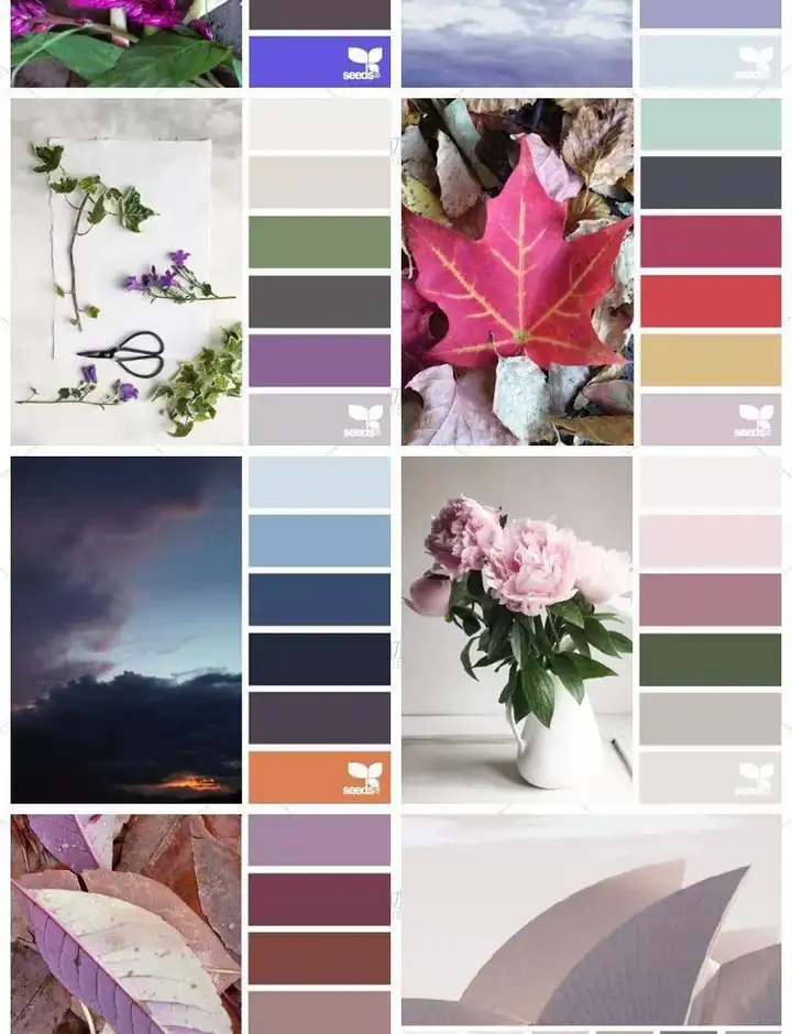 5600款设计排版配色方案【附教程】-PS设计颜色搭配色卡实物色彩搭配【电商热销841】