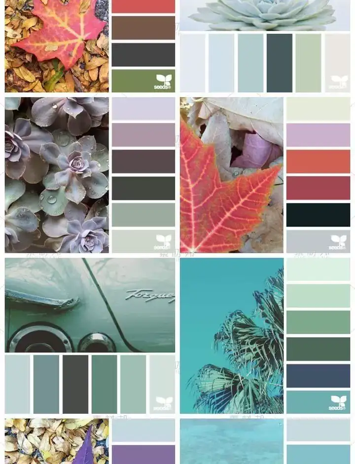 5600款设计排版配色方案【附教程】-PS设计颜色搭配色卡实物色彩搭配【电商热销841】