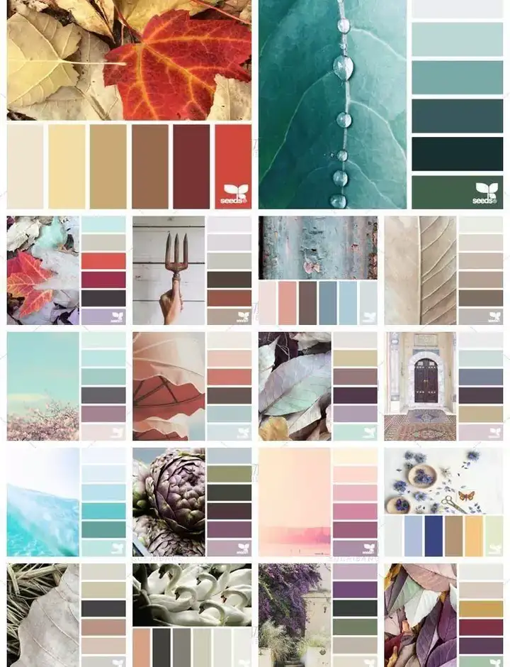 5600款设计排版配色方案【附教程】-PS设计颜色搭配色卡实物色彩搭配【电商热销841】