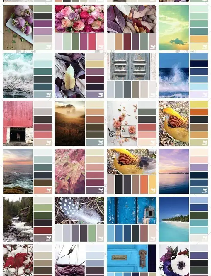 5600款设计排版配色方案【附教程】-PS设计颜色搭配色卡实物色彩搭配【电商热销841】