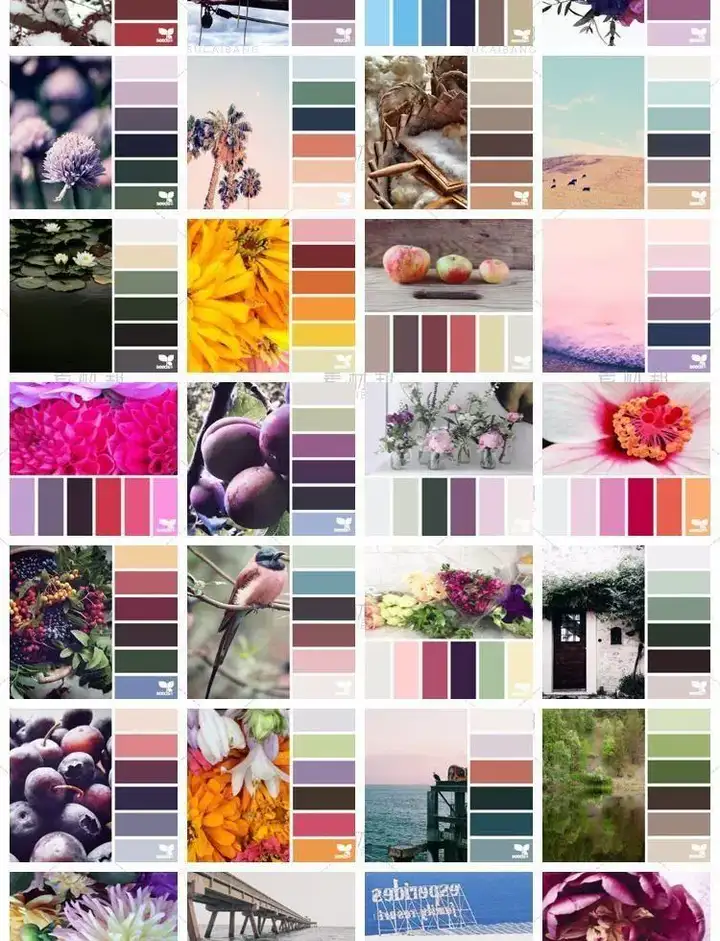 5600款设计排版配色方案【附教程】-PS设计颜色搭配色卡实物色彩搭配【电商热销841】