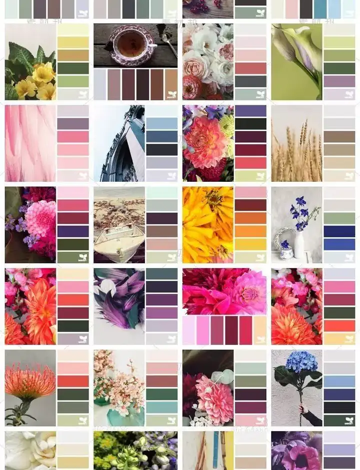 5600款设计排版配色方案【附教程】-PS设计颜色搭配色卡实物色彩搭配【电商热销841】