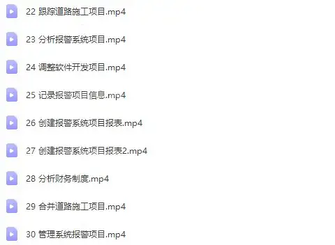 Project零基础视频教程-PMP项目管理工程办公流程甘特图日程表课程【电商热销726】