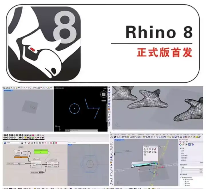 犀牛rhino8软件学习教程新版本功能介绍犀牛8零基础实战案例建模教程【电商热销539】