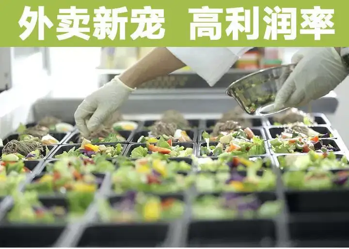 轻食沙拉技术配方减脂餐商用轻食餐教程轻食便当教程外卖食谱培训课程【电商热销616】