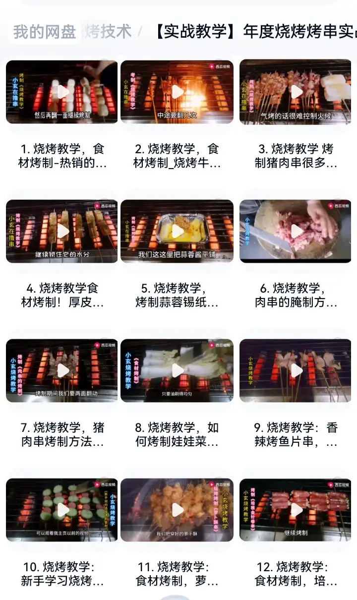 烧烤技术配方视频教程商用新手自学腌酱料撒料淄博摆摊小吃电子版【电商热销581】