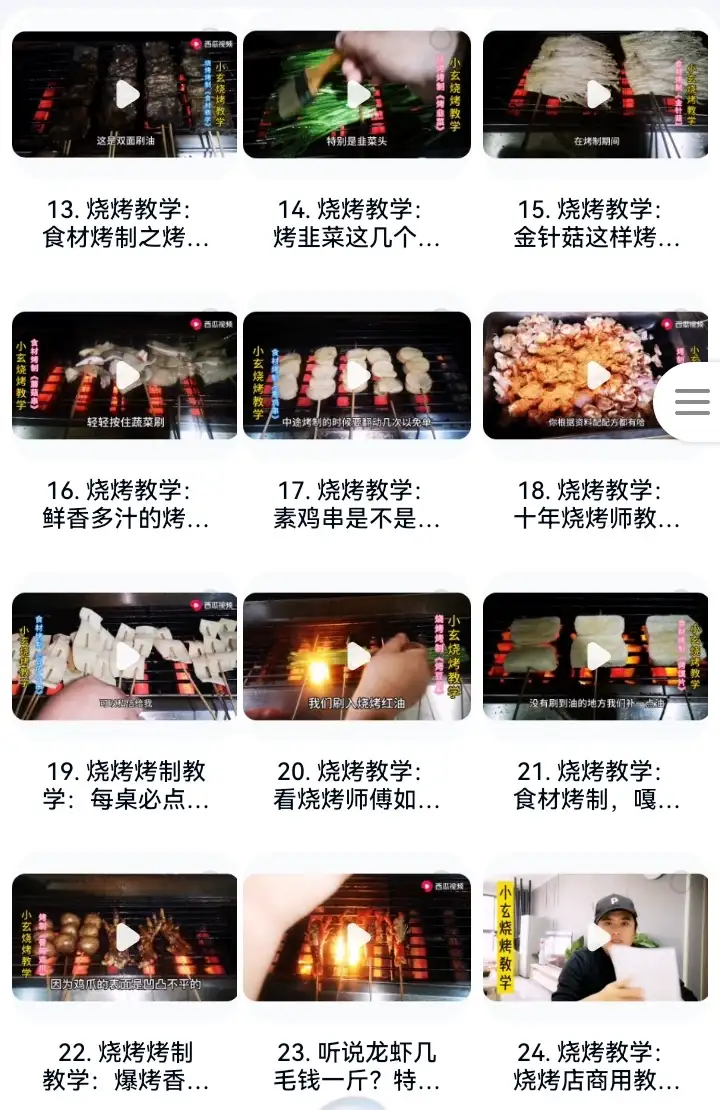 烧烤技术配方视频教程商用新手自学腌酱料撒料淄博摆摊小吃电子版【电商热销581】