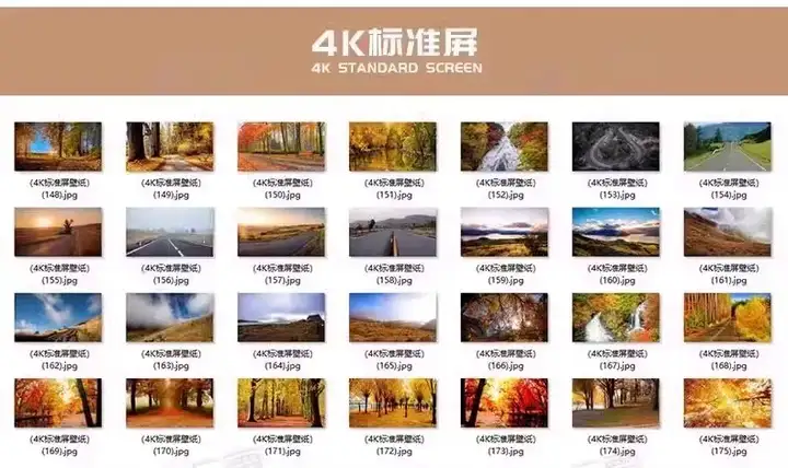 6000张超高清桌面壁纸4K唯美动漫风景宇宙夜幕背景影楼图片素材库【电商热销549】