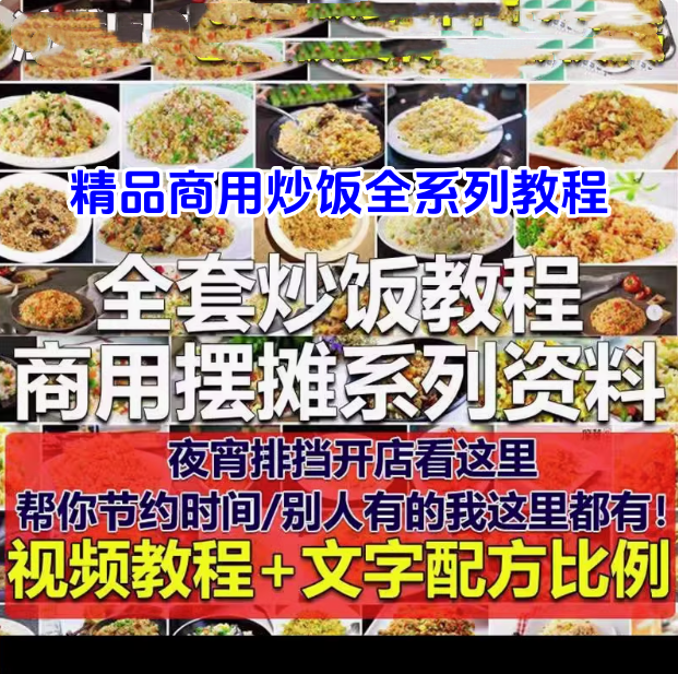全套炒饭视频资料教程-商用摆摊花式炒饭视频教程 泡菜蛋炒饭海鲜盖饭制作 【电商热销452】