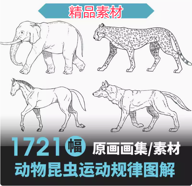 1721幅原画画集素材【动物昆虫运动规律图解】-动物昆虫图解素材合集 CG 动画 原画动作表演参考素材【电商热销67】