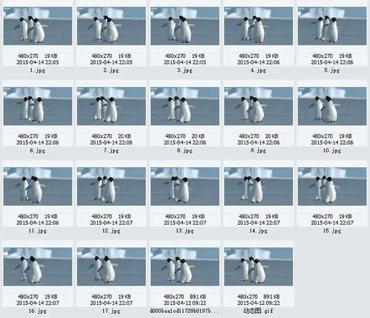 1721幅原画画集素材【动物昆虫运动规律图解】-动物昆虫图解素材合集 CG 动画 原画动作表演参考素材【电商热销67】