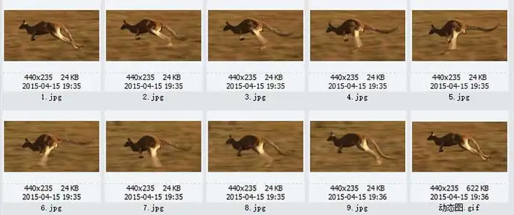 1721幅原画画集素材【动物昆虫运动规律图解】-动物昆虫图解素材合集 CG 动画 原画动作表演参考素材【电商热销67】