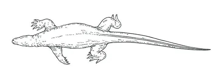 1721幅原画画集素材【动物昆虫运动规律图解】-动物昆虫图解素材合集 CG 动画 原画动作表演参考素材【电商热销67】