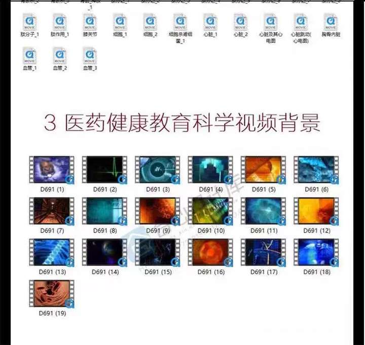 200个三维人体器官细胞视频素材-人体器官血液大脑皮肤病毒骨骼基因经络心脏三维3D动画【电商热销59】