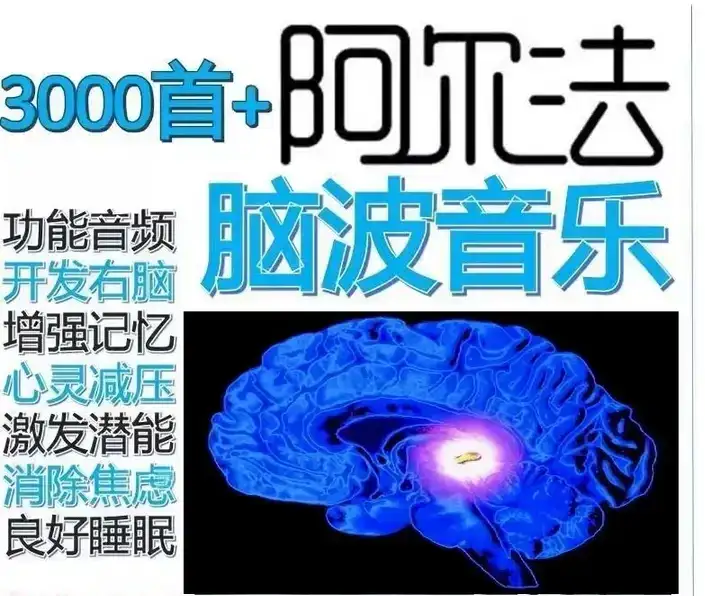 3000首α阿尔法脑波音乐-缓解情绪助眠解压改善增强激发记忆MP3右脑开发【电商热销25】