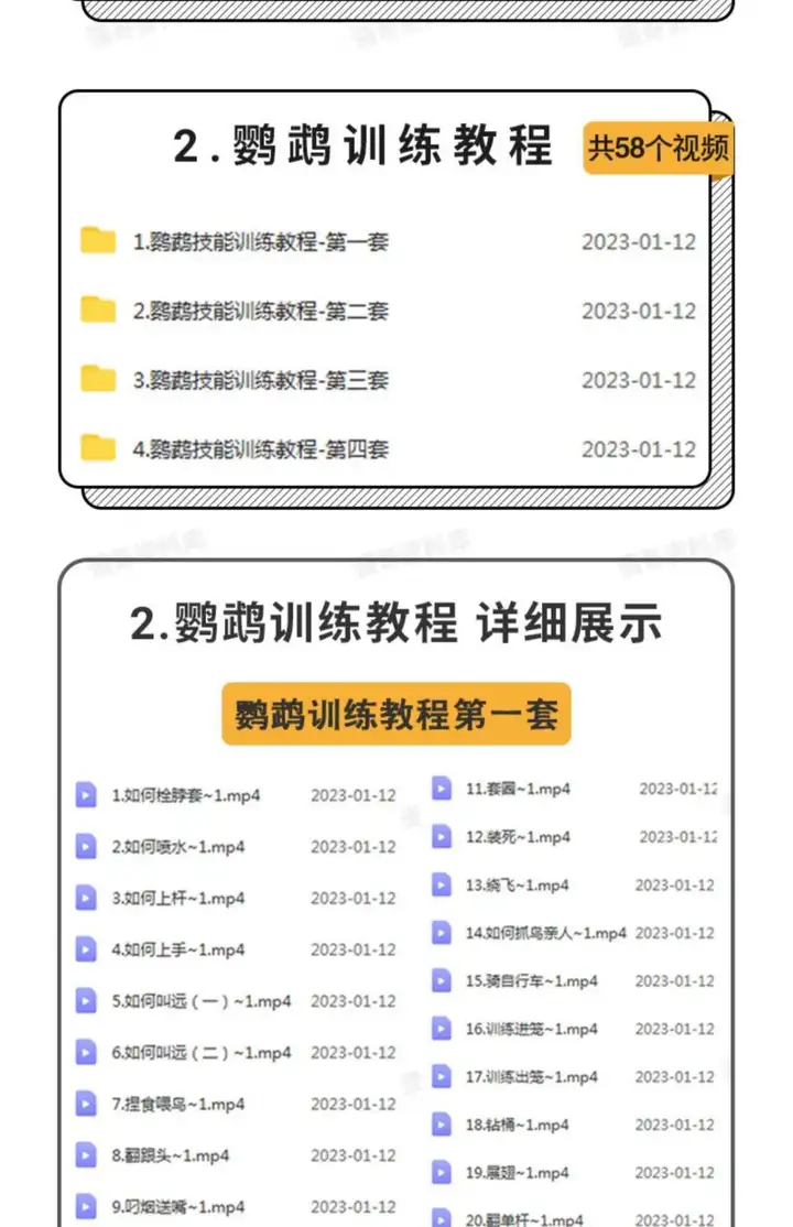 训鸟全套教程-鹦鹉虎皮杜丹玄凤训练教程上手训练鹦鹉说话【电商热销2】