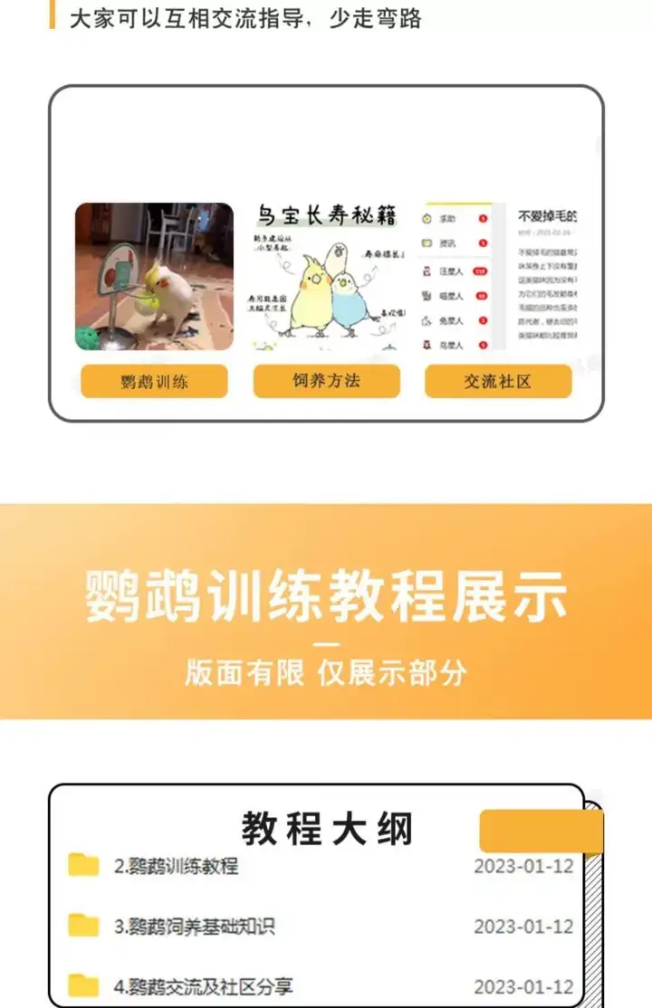 训鸟全套教程-鹦鹉虎皮杜丹玄凤训练教程上手训练鹦鹉说话【电商热销2】