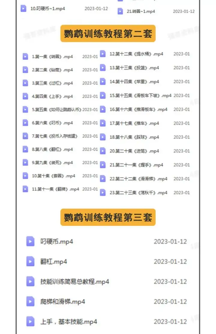 训鸟全套教程-鹦鹉虎皮杜丹玄凤训练教程上手训练鹦鹉说话【电商热销2】