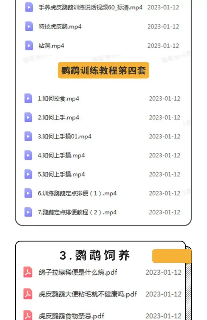 训鸟全套教程-鹦鹉虎皮杜丹玄凤训练教程上手训练鹦鹉说话【电商热销2】