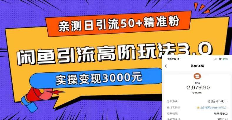 闲鱼引流实操教程，实测日引50+精准粉实操变现3000元