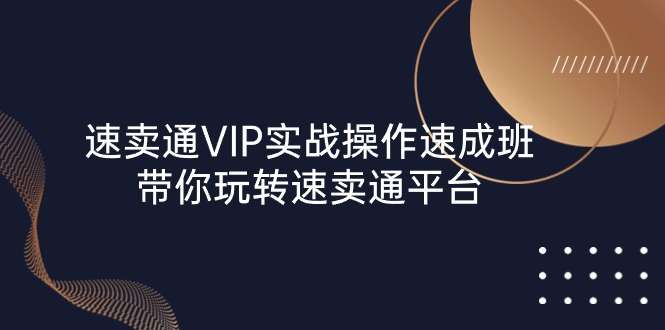 速卖通 VIP实战操作课程-带你玩转速卖通平台