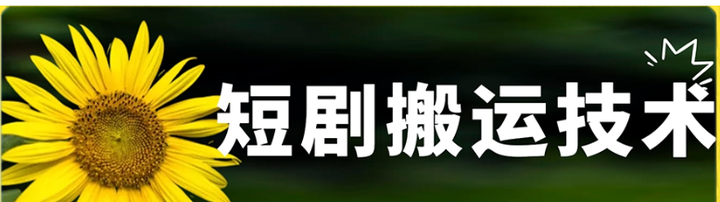 最新短剧搬运技术，不限制机型