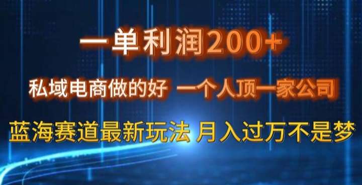 私域电商一个人顶一家公司玩法【揭秘】一单利润200
