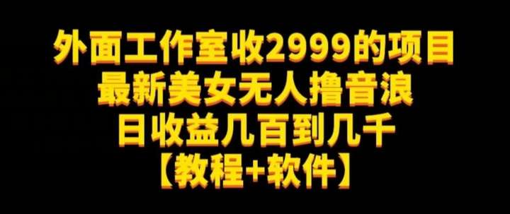 最新美女无人撸音浪日收益四位数【教程+软件】外面收费2999