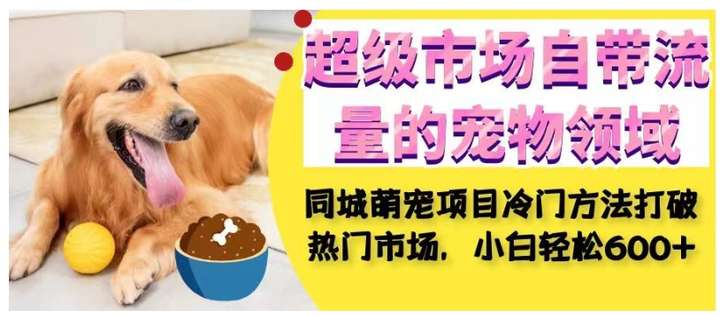 同城萌宠项目：自带流量的宠物领域，小白轻松600+