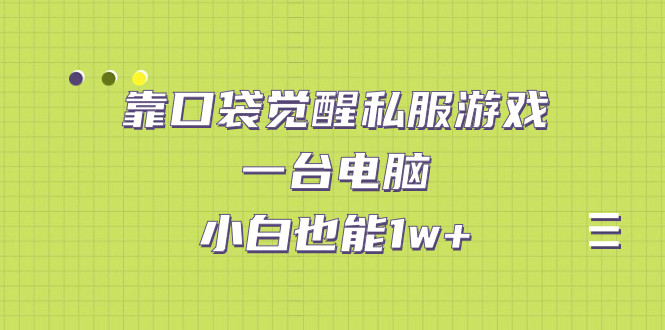 靠口袋觉醒私服游戏小白也能1w+
