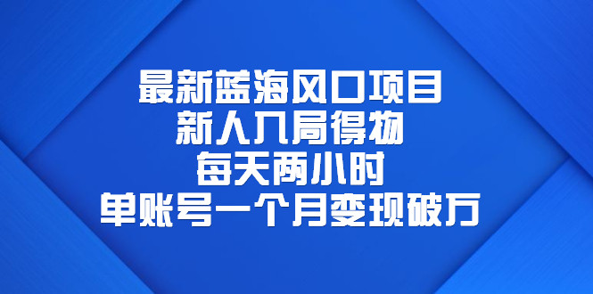 最新蓝海风口项目，每天两小时，单账号一个月变现破万
