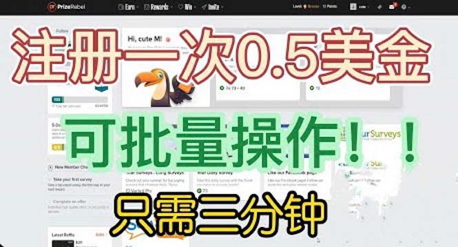 办公室项目国外项目注册一次0.5美金 可批量放大