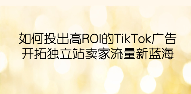 TikTok广告投放实操课程：开拓独立站卖家流量新蓝海，提升ROI