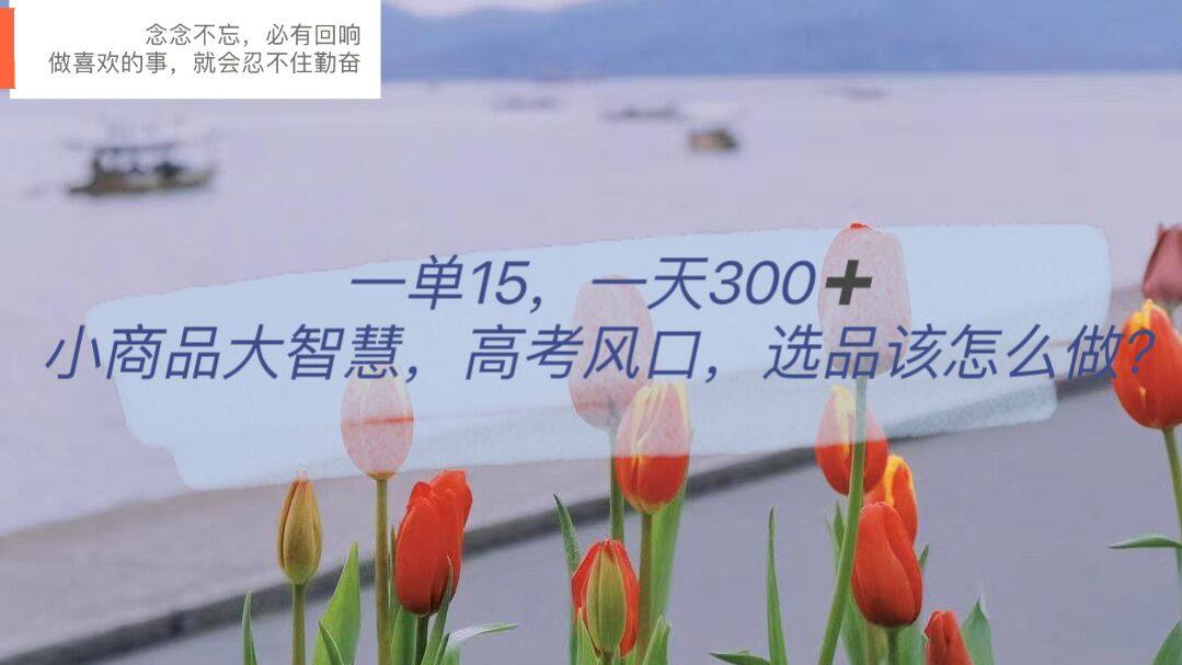 日入300的视频号引流变现项目，小商品选品布局获取高回报