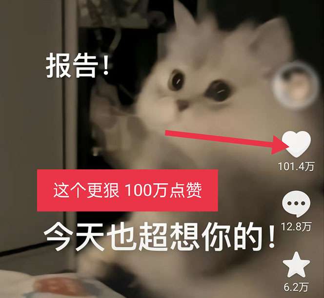 全网精准引流利器：黑科技纯原创可爱猫咪图片【实操5个VX号被加爆】