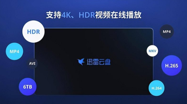 迅雷云盘TV版apk下载，支持原画播放与在线字幕匹配